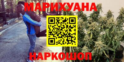 метадон Новодвинск