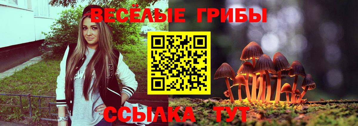 Первоуральск  Галлюциногенные грибы прущие грибы  Вход с VPN 
